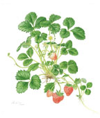 17{^jJA[gW@mgjZ^[_ˋ