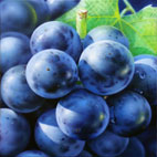 第12回 Kim, Dae-Yeon個展