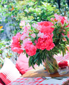 Vqʐ^W@Cfest Joli!   -Eł݂ u-