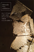 Shinsuke Oya EXHIBITION