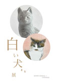 白い犬まる展